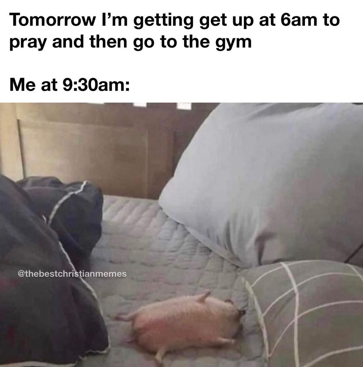 Christian Memes and Puns (@christianpunsog) on Twitter photo 