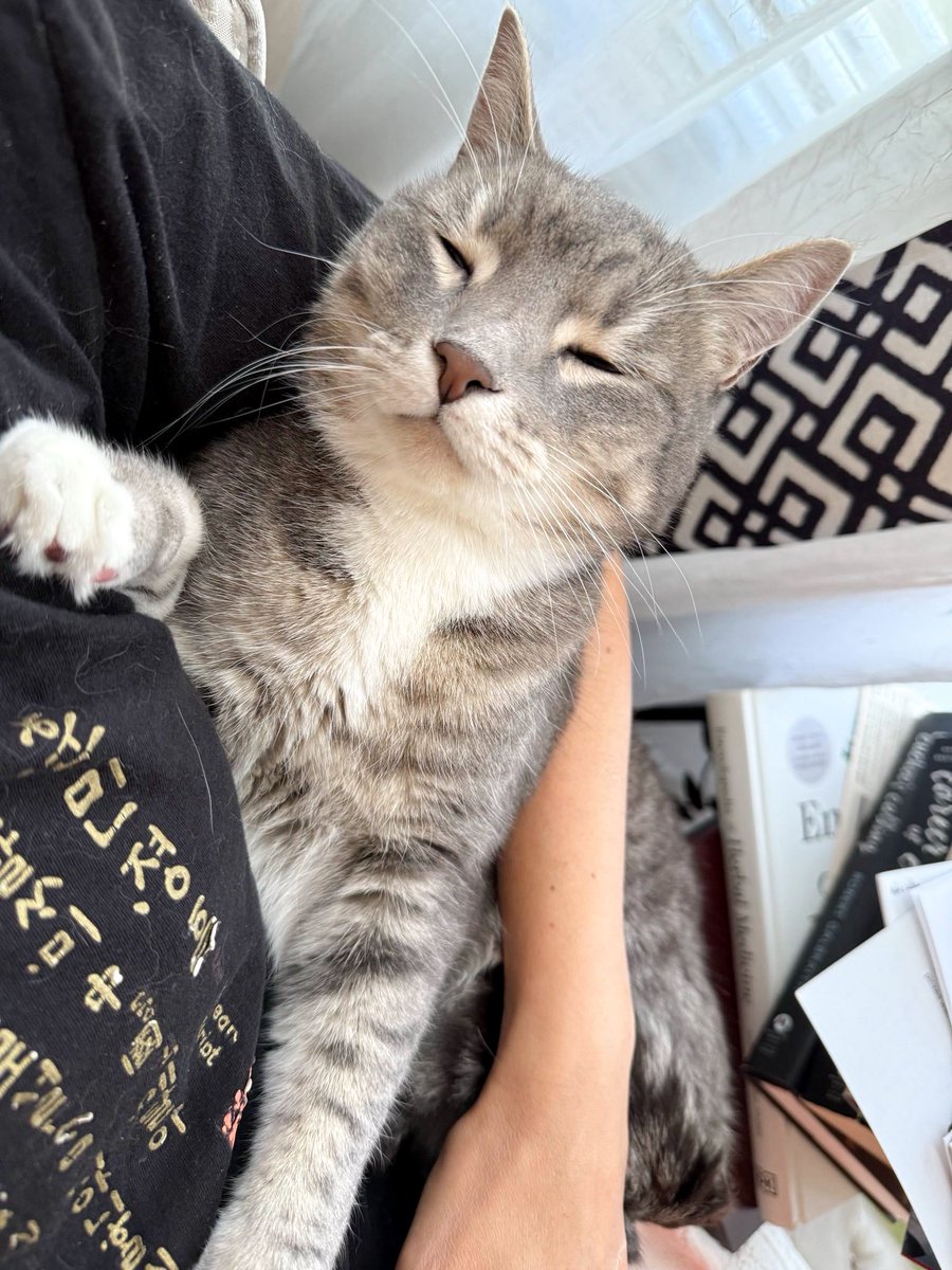 𝘉𝘪𝘭𝘭𝘺 𝘍𝘰𝘹 tweet media