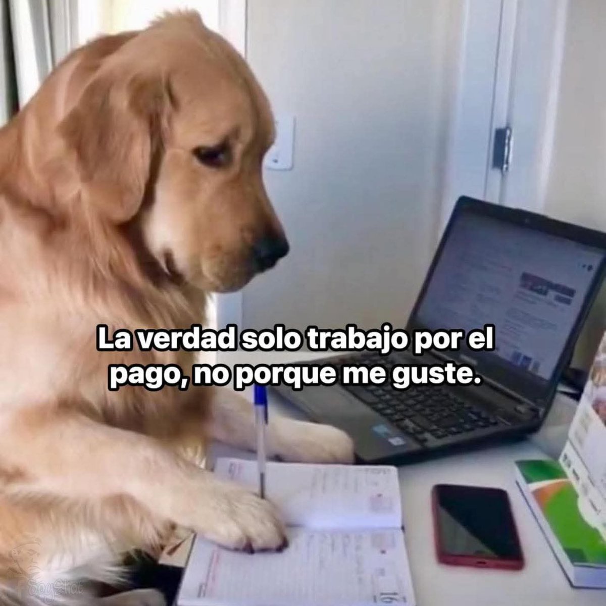 Paisajes del Mundo (@mundo__paisajes) on Twitter photo 