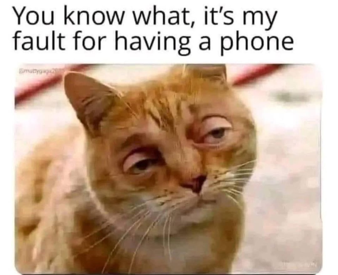 Market dey whine Ceasars No be me😂