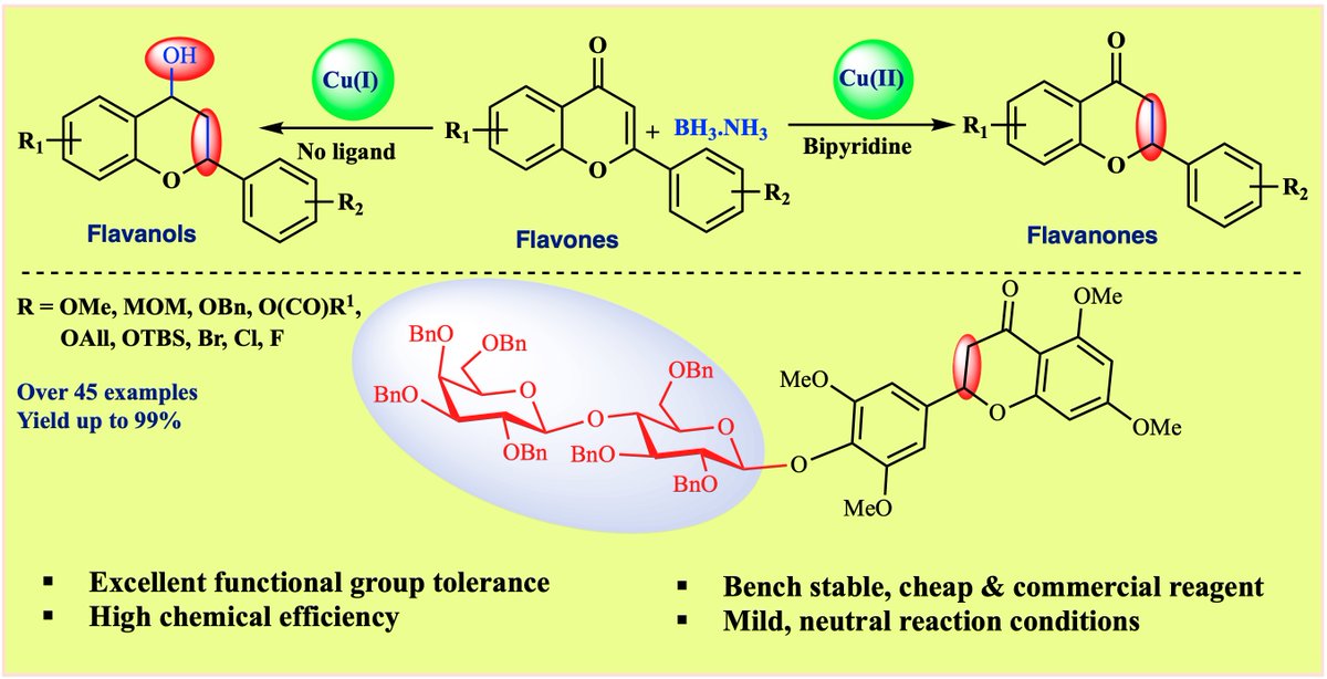 ASau_Chem's tweet photo. Happy to share our recent work on “Copper‐catalyzed Chemoselective Reduction of α,β‐unsaturated Flavone Olefin and It's Glycosides” published in @ChemEurJ.  @Debabrata1908, @Raghvendra63871 Thanks to @ANRFIndia @IITHyderabad @CHYIITH https://t.co/3rdRDMUlwr https://t.co/mPDfVCkaNr