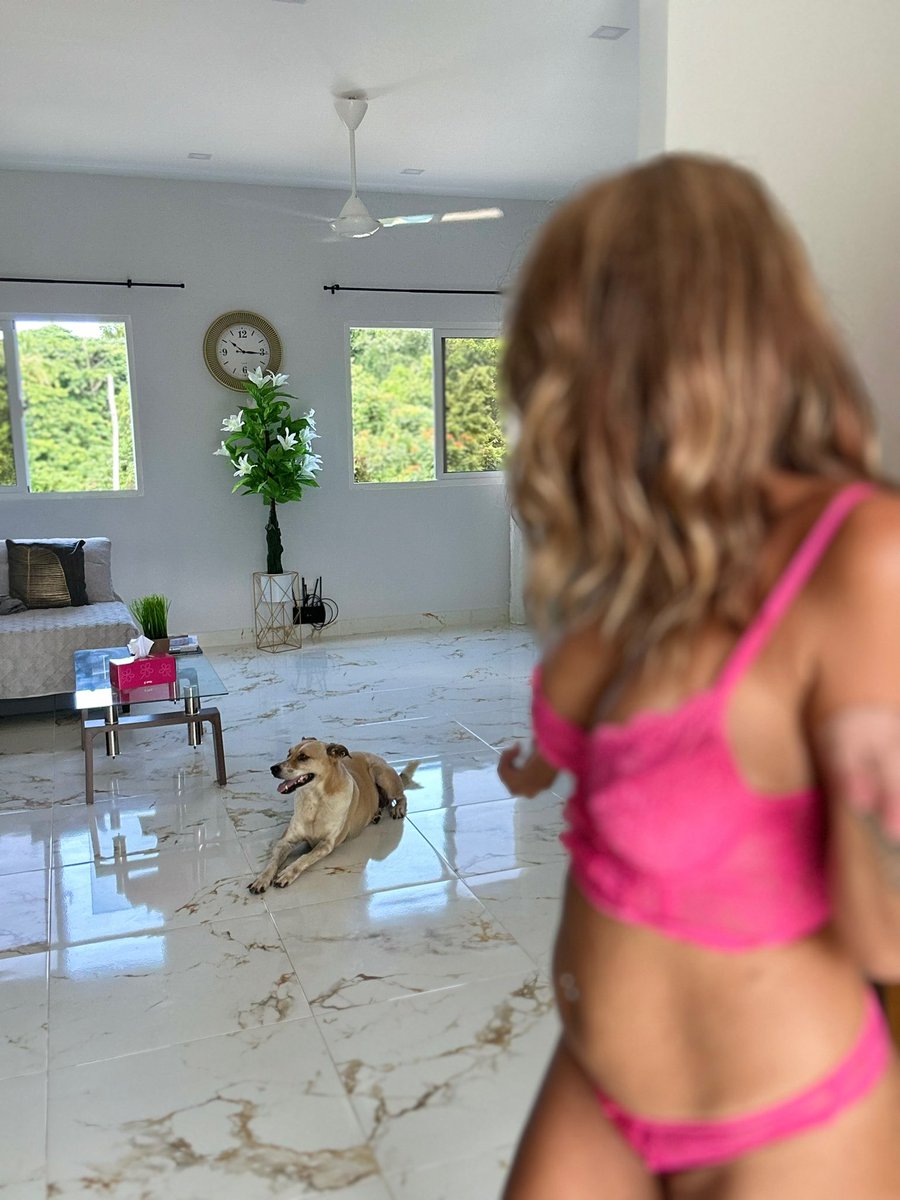 cherrynanncie's tweet image. Me: try to be sexy for Twitter
Rubia: "Not impressed, but I appreciate the effort" 🐶💁🏻‍♀️
And you, how much out of 10 do you give? 👇

#DogLovers #LifeWithPets #FurryFriend #GirlsAndDogs #PetLife #DogMom #PuppyLove #PetsOfTwitter #Doggo