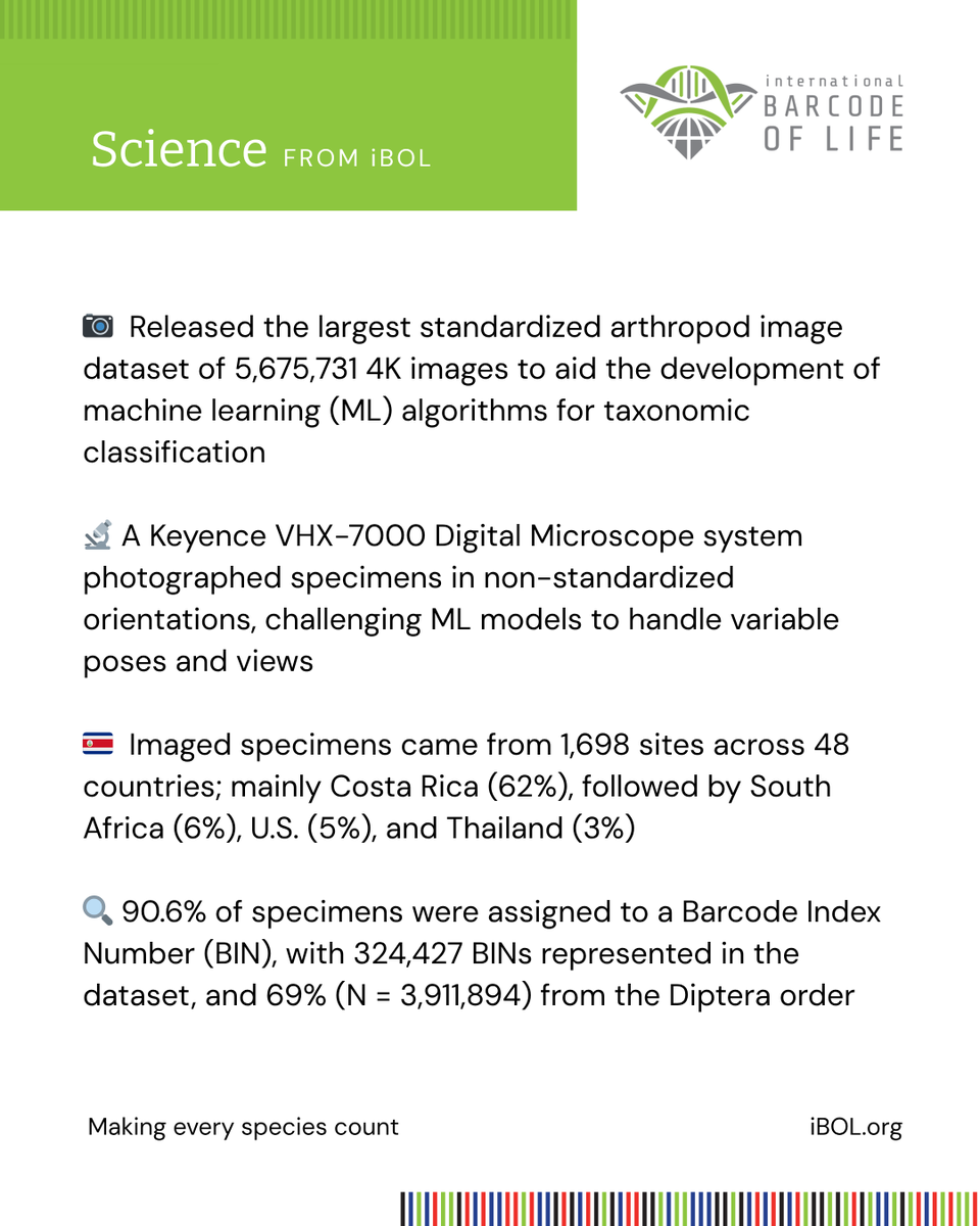 iBOLConsortium's tweet photo. How do we train machine learning algorithms in species identification?
Read: 🔗 https://t.co/oR95vigYQZ
Photo: 📸 A species in the Cecidomyiidae family in the BOLD data portal (Process ID PLUBA014-20).
#iBOL #IlluminateBiodiversity #Insects #SpeciesRichness #DNABarcoding https://t.co/wqhvVEy4mE