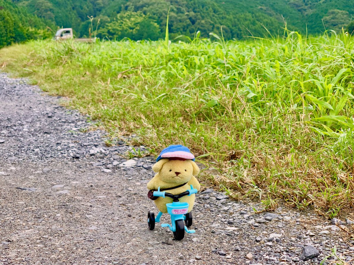 こつぶちゃん tweet media