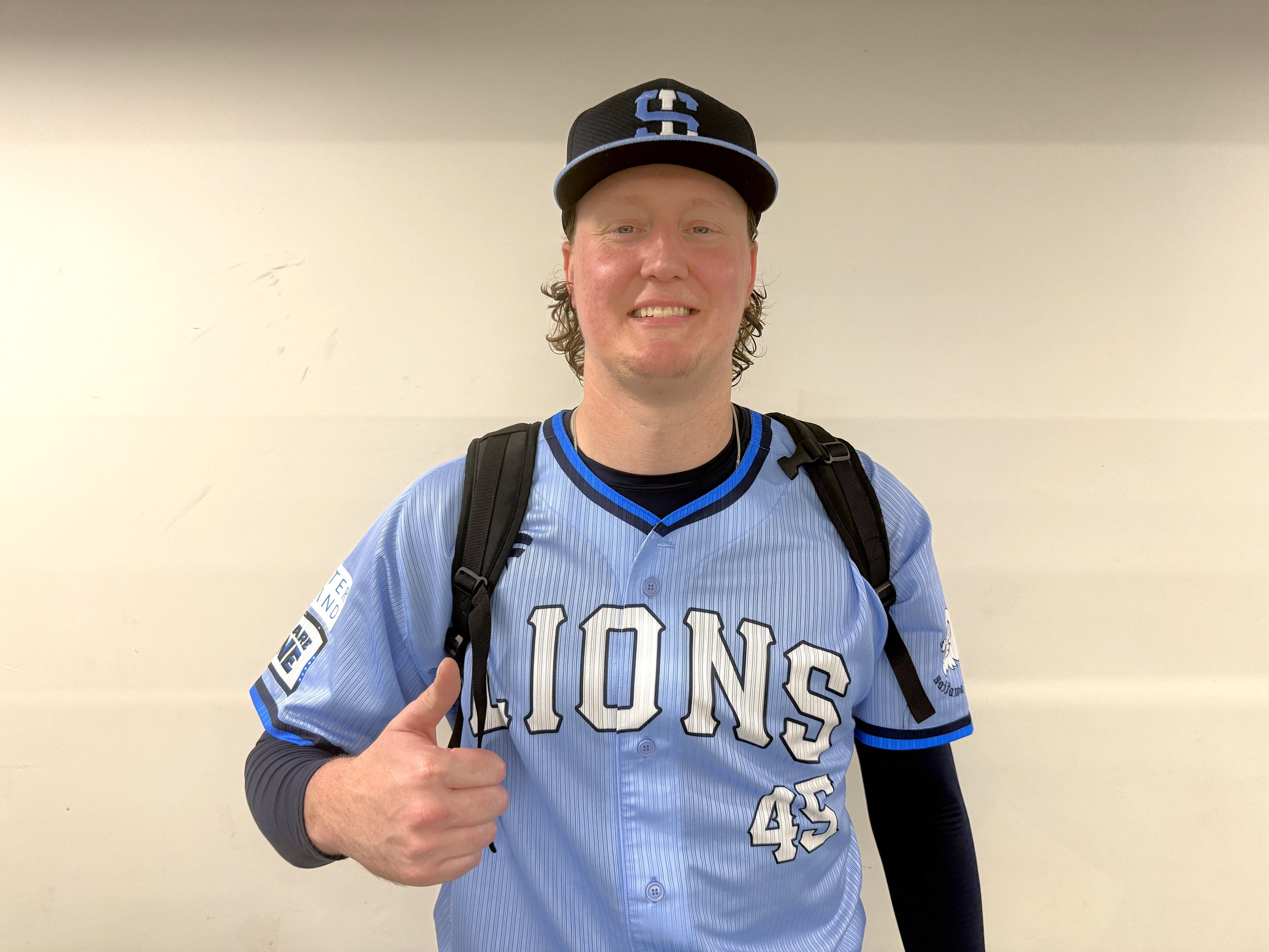 【交渉OK】埼玉西武ライオンズピンバッジ2015 コンプリート 交渉OK】埼玉西武ライオンズピンバッジ2015 コンプリート 交渉OK