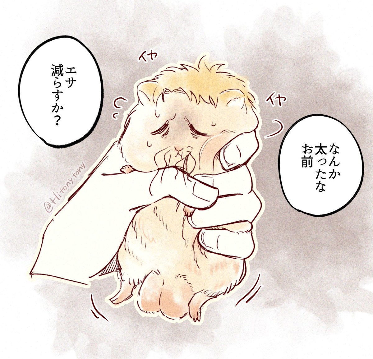 今日のはむライナー