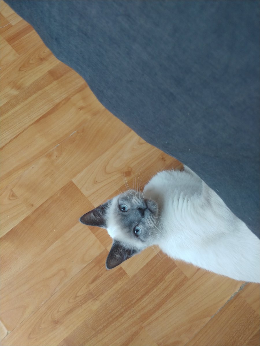 <a href="/GSmokesweed1/">Grandma Smokesweed</a> Poser came out from under the bed because he thought he missed something.  It turned out to be nothing.  Good morning GS