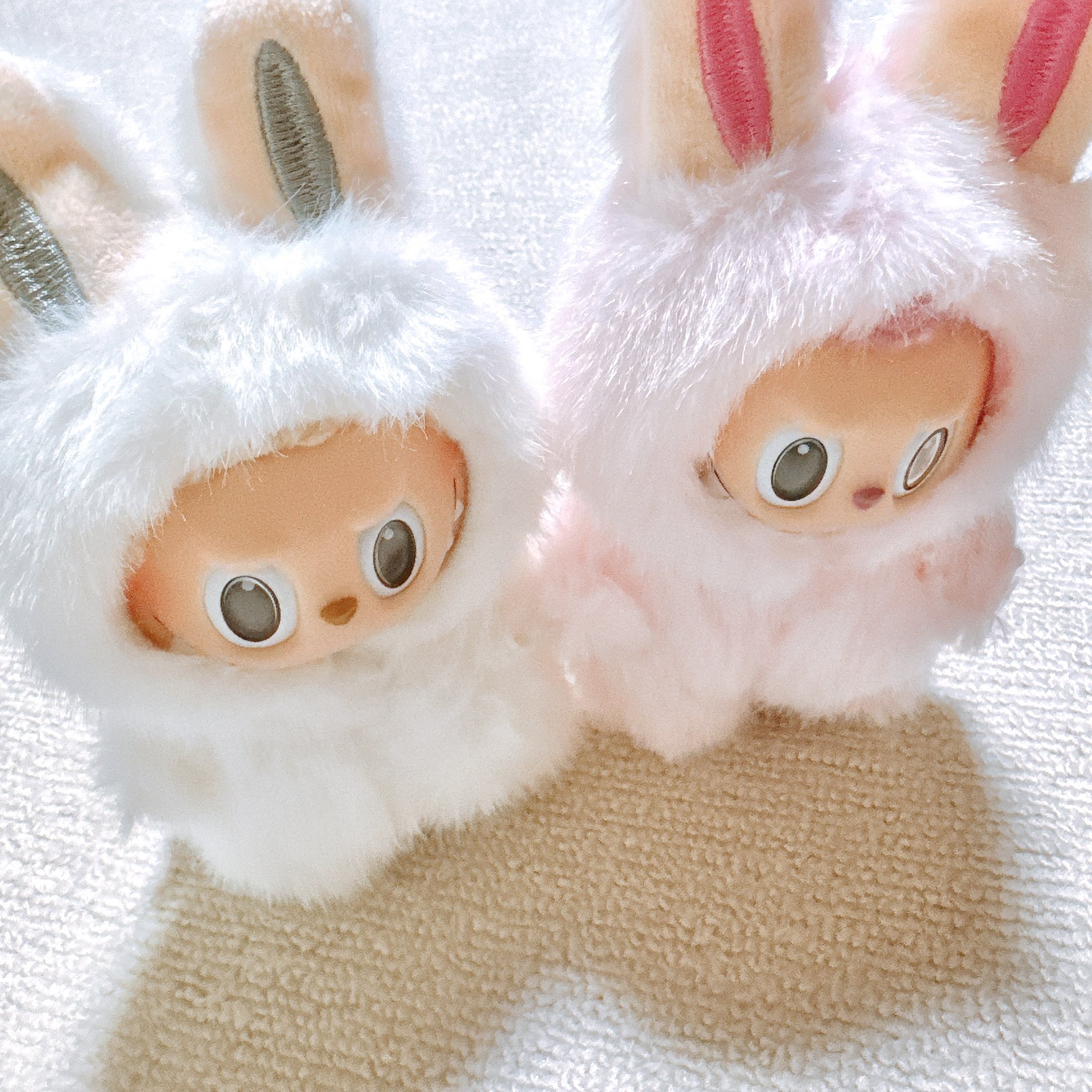 K (@k76186437) / X