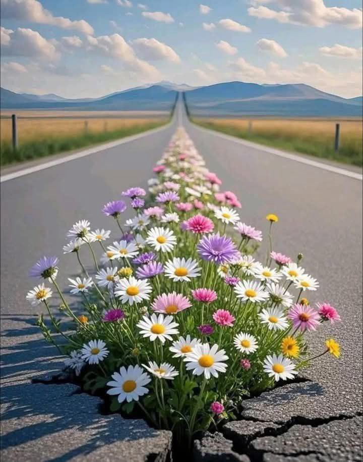 هناك دائماً 
شخص مختلف يمكنه 
أن يسرق ثقل هذا العالم 
عن كتفيك دون أن تشعر الله يحفظة لي يارب العالمين. ❤️🤲🏻