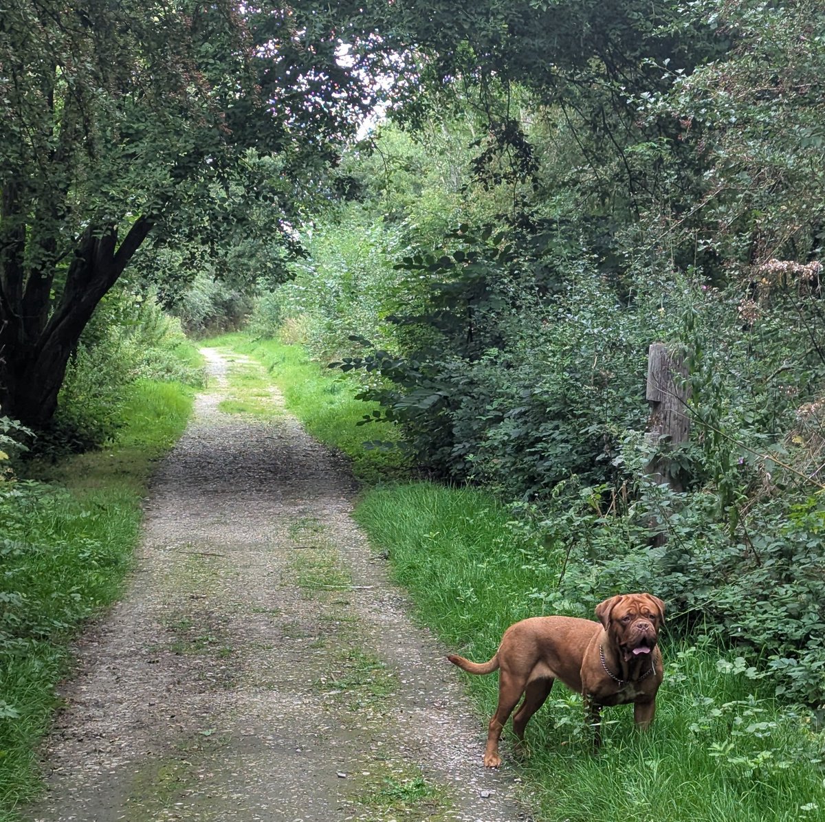 Stephen Thompson MBE 🏴󠁧󠁢󠁥󠁮󠁧󠁿🇬🇧 tweet media
