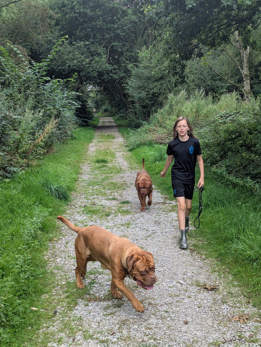 Stephen Thompson MBE 🏴󠁧󠁢󠁥󠁮󠁧󠁿🇬🇧 tweet media