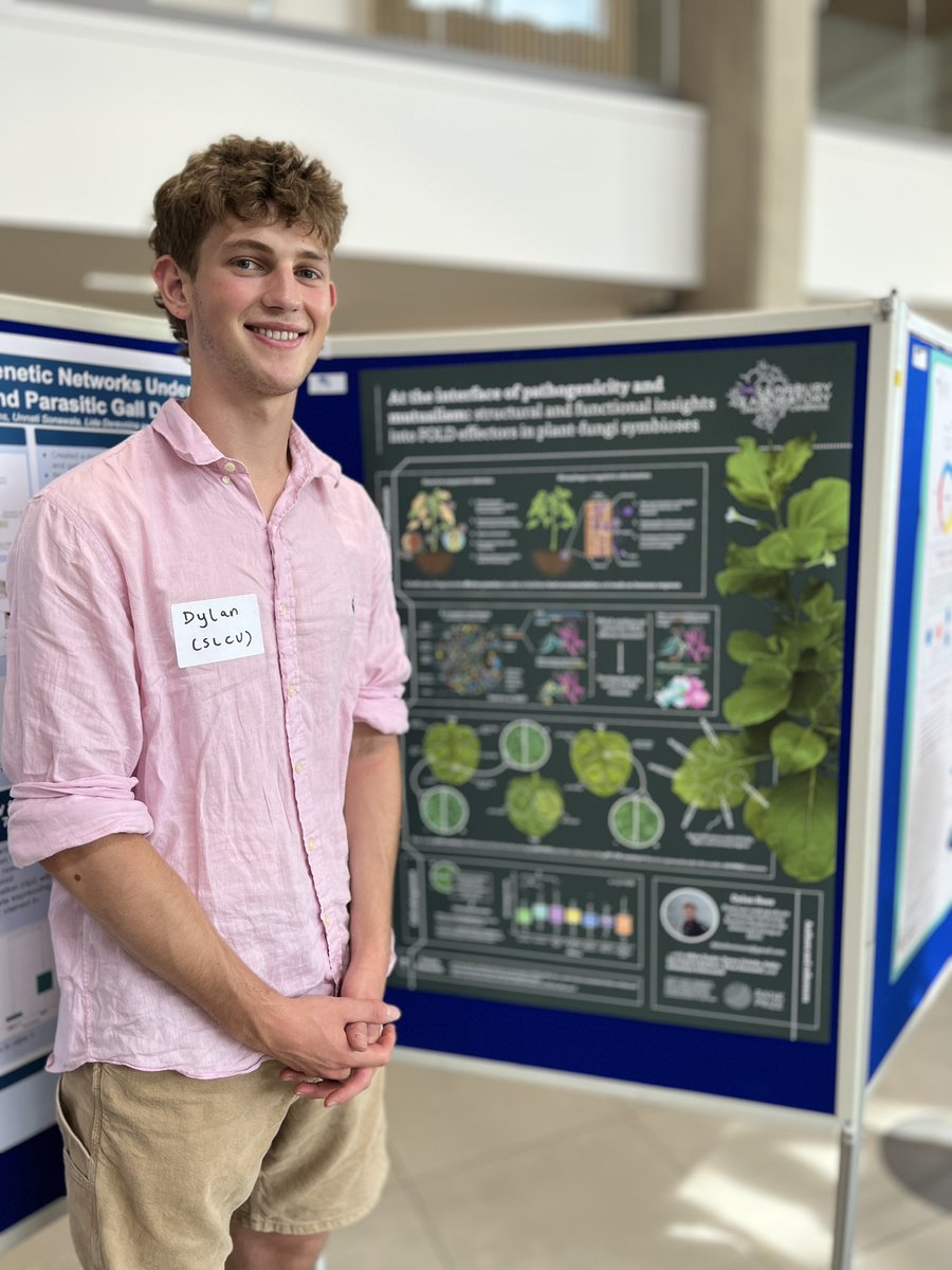 Sebastian Schornack tweet media