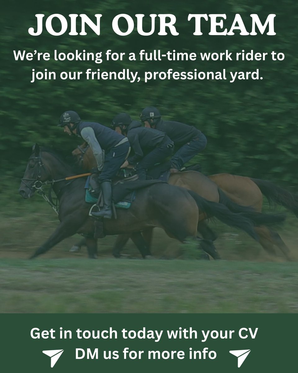 Faye Bramley Racing at Lodge Down Stables tweet media