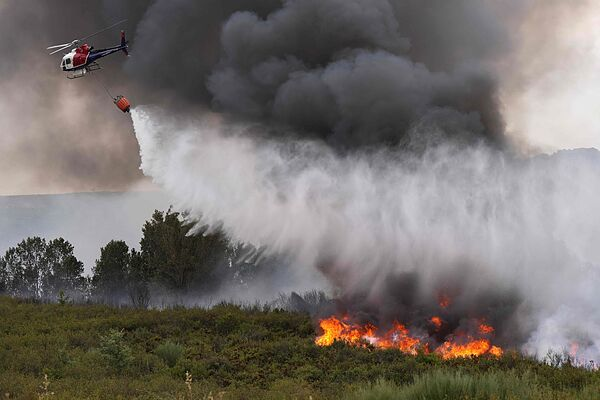 En Ciudadanos L’Hospitalet nos unimos al apoyo a quienes combaten el fuego estos días y enviamos nuestro más sentido pésame a las familias afectadas 🕊️

Admiración y gratitud a todos los profesionales y voluntarios que arriesgan su vida por protegernos 🧡