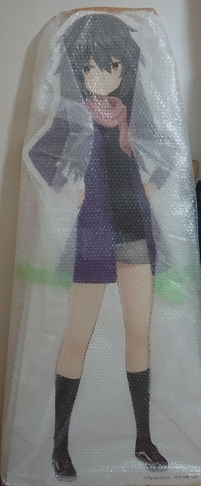 あ、ちなみに自分チヱさんと同棲してるんでｗ
（5周年のアリスギアＧＯＧＯキャンペーンで頂いた等身大パネル。開封勿体なくて未だ箱入り娘ならぬ袋詰め娘ですが）