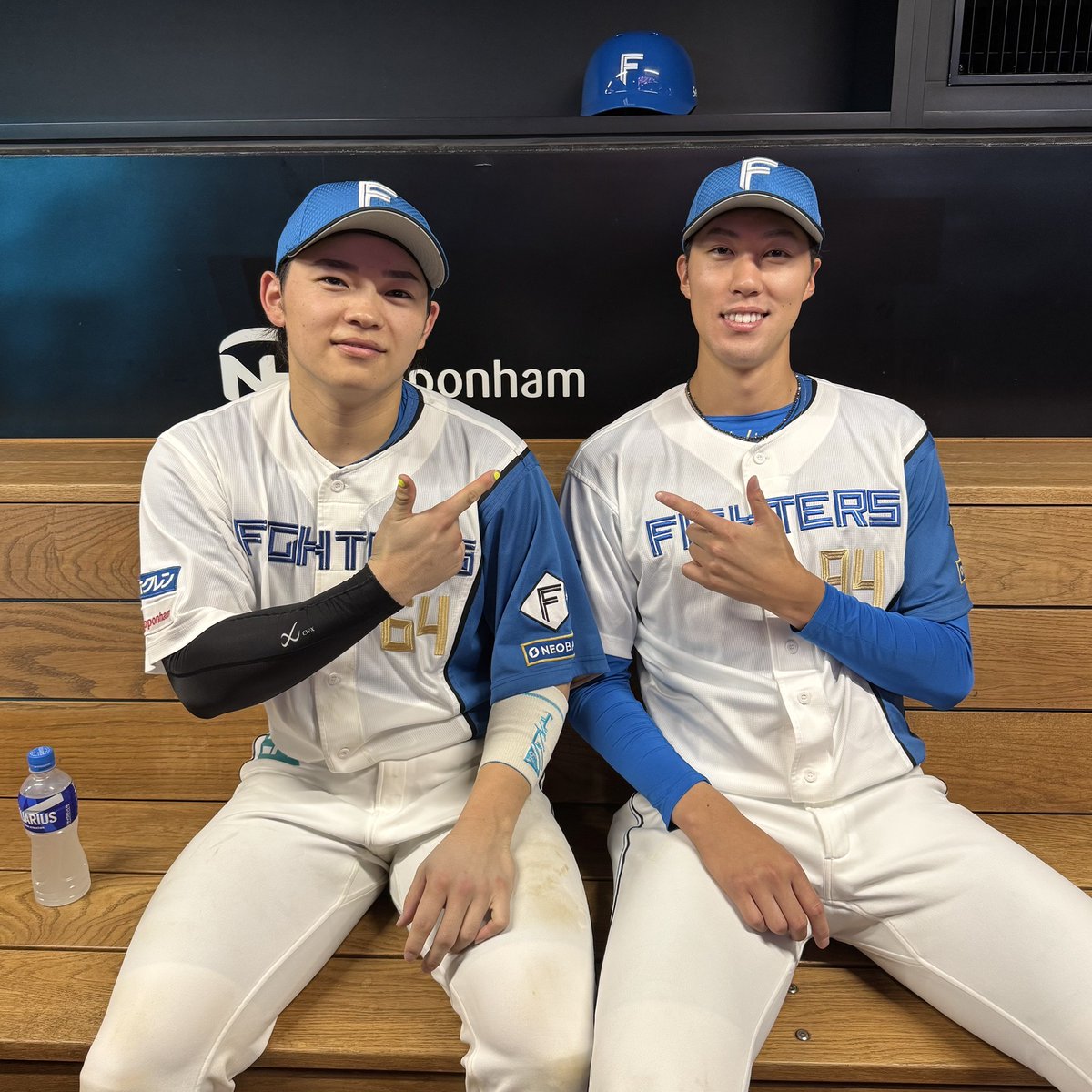 わんすけさん限定　古伊万里白磁のぞき POTTERY