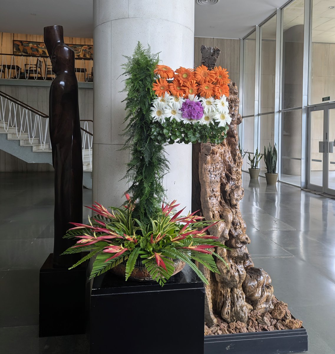 Amitesh Anand (@amitesh1anand) on Twitter photo From roots to blooms, the <a href="/TIFRScience/">Tata Institute of Fundamental Research</a> gardening team’s creativity knows no bounds! Happy Independence Day! 🫡 From roots to blooms, the <a href="/TIFRScience/">Tata Institute of Fundamental Research</a> gardening team’s creativity knows no bounds! Happy Independence Day! 🫡