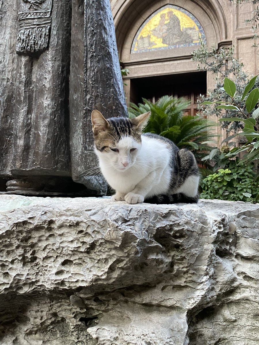 overthink saati geldi haydi bakalım