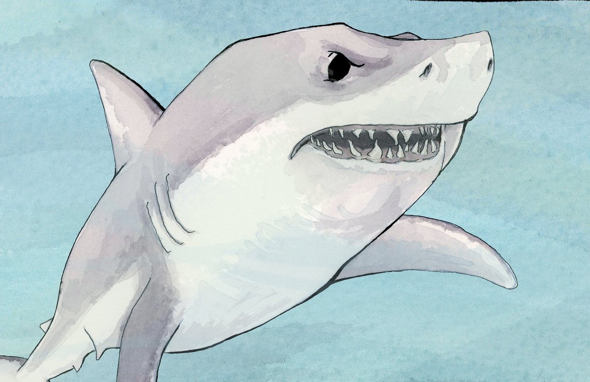 JessEvans915's tweet photo. Sharks, storms, and solitude are some of the challenges Penguin faces in PENGUIN TAKES FLIGHT. Preorder link in bio.
#PenguinAndFriends #Adventure #watercolor #bookseries #kidlitart #kidlit #picturebook #wordless #wordlesspicturebook #picturebookseries
@canonballbooks https://t.co/jfnsDTX8RR