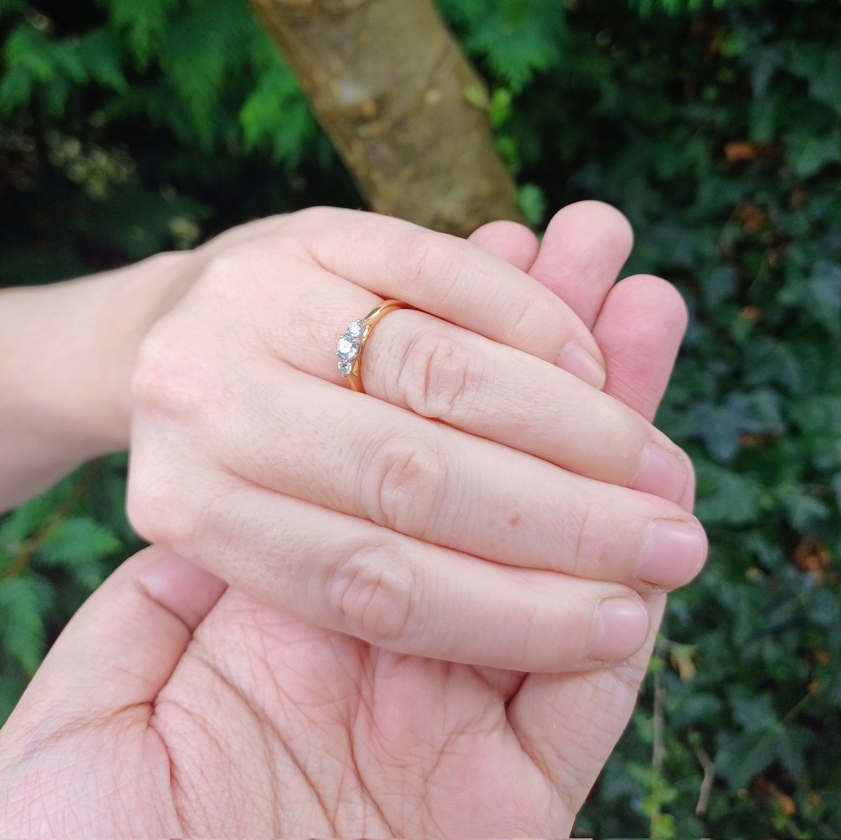 Yuan Yi Zhu tweet media