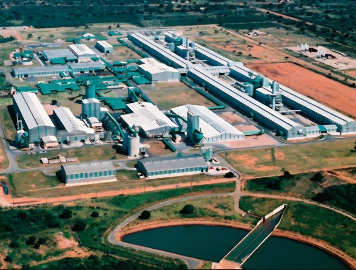 Marcelo Mosse tweet media