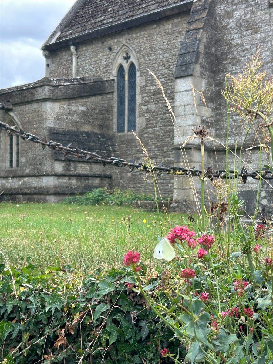 Champing tweet media