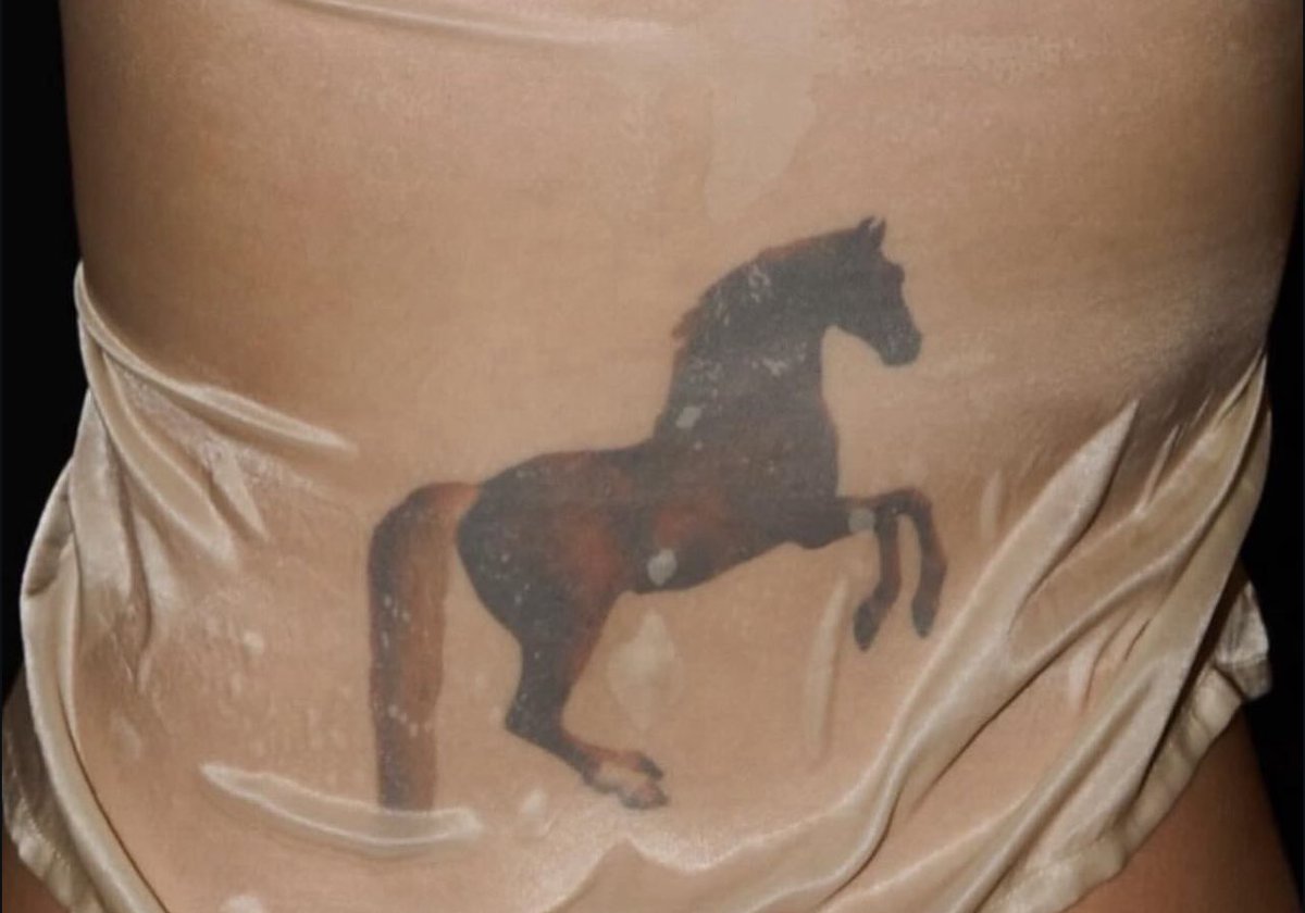 majamediaco's tweet photo. here are some horses https://t.co/EV4SwjD0f4