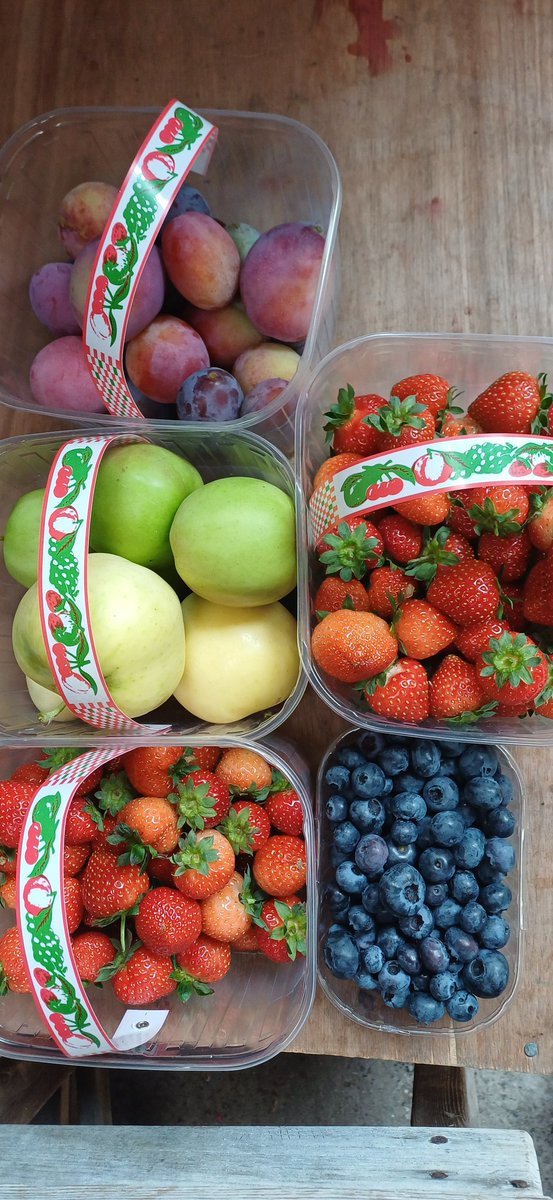 pyoSolihull's tweet image. Fruit this week: 10am to 2pm
Plenty of Blueberries and Plums.
Strawberries, Apples and Blackberries too.