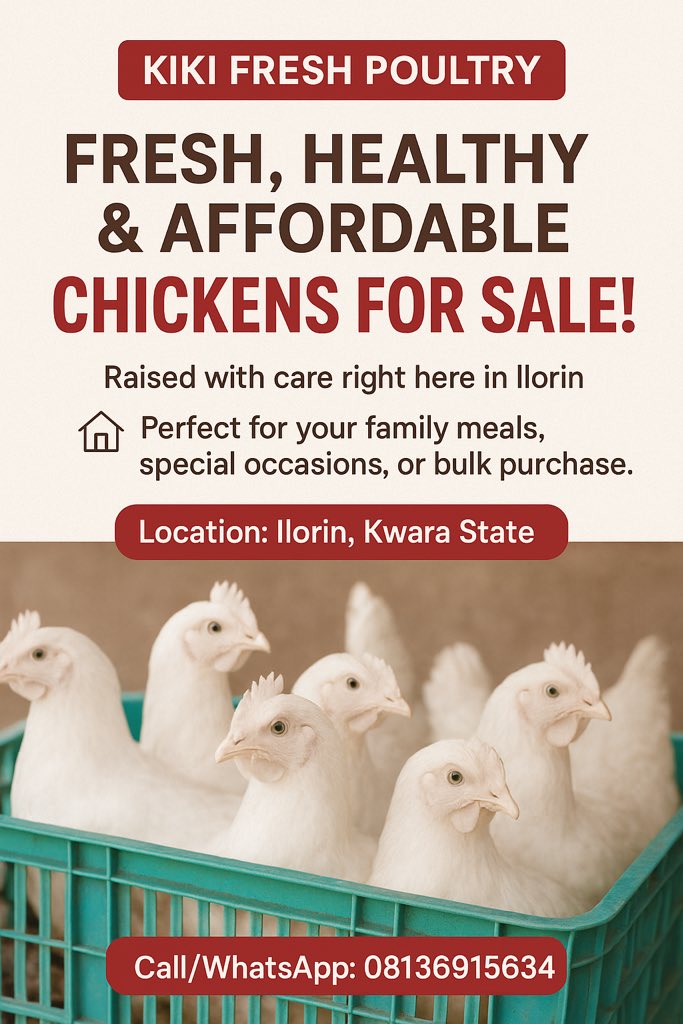 Tisquared61's tweet photo. 🐓 Fresh farm chickens in Ilorin!
Healthy • Affordable • Delicious
📞 08136915634
RT so your friends don’t miss out! https://t.co/zdHuli4c5Y