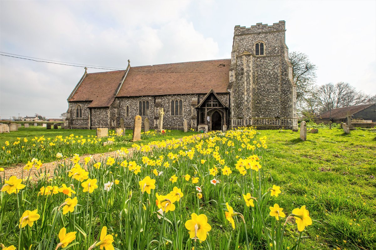 Champing tweet media