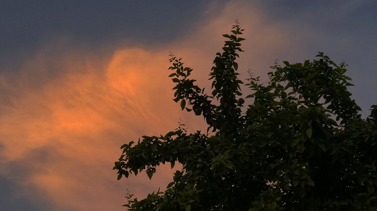 to live is to notice