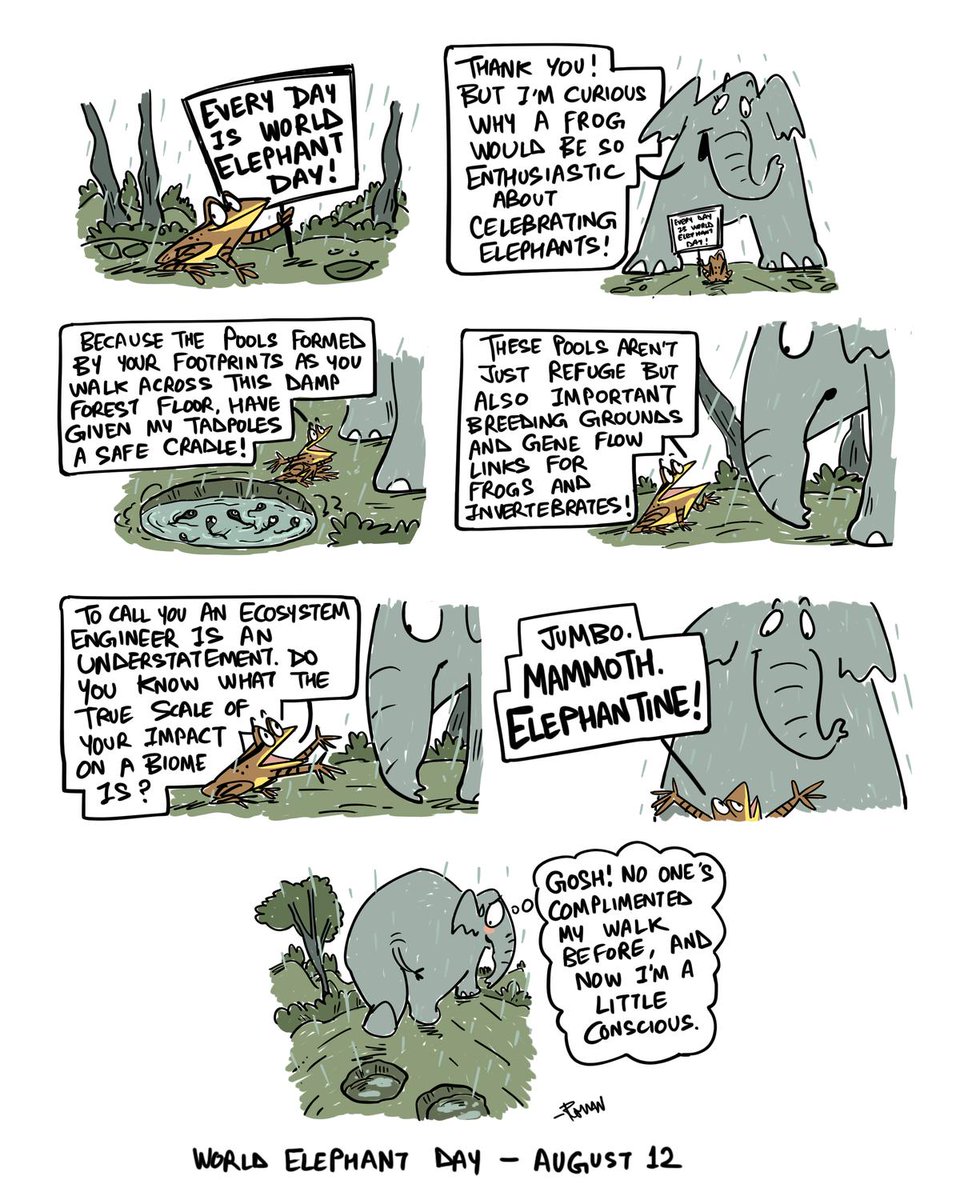 GlobalElephants's tweet image. Every day is World Elephant Day! 🐘💚

Credit: thehindu.com/sci-tech/energ…