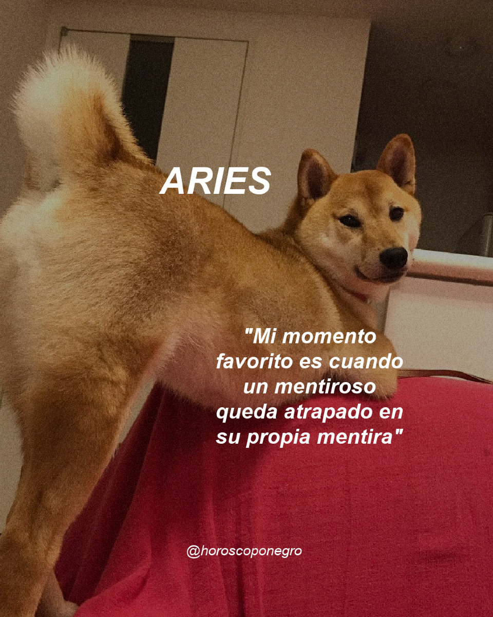aries_hn's tweet photo. Deja otro momento favorito en comentarios 😆 https://t.co/CDkEzwdMKM
