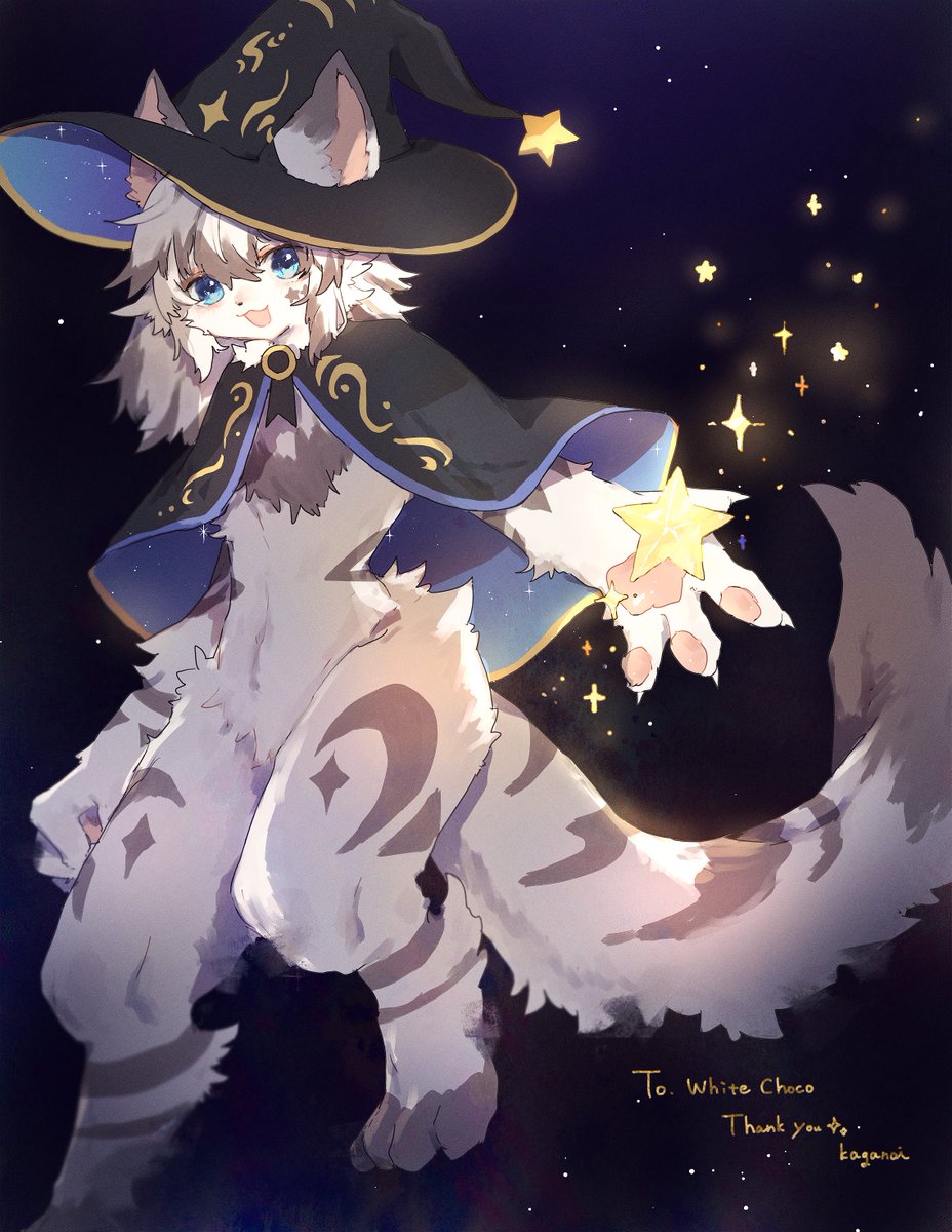 Skeb🌟星月夜の猫ちゃん