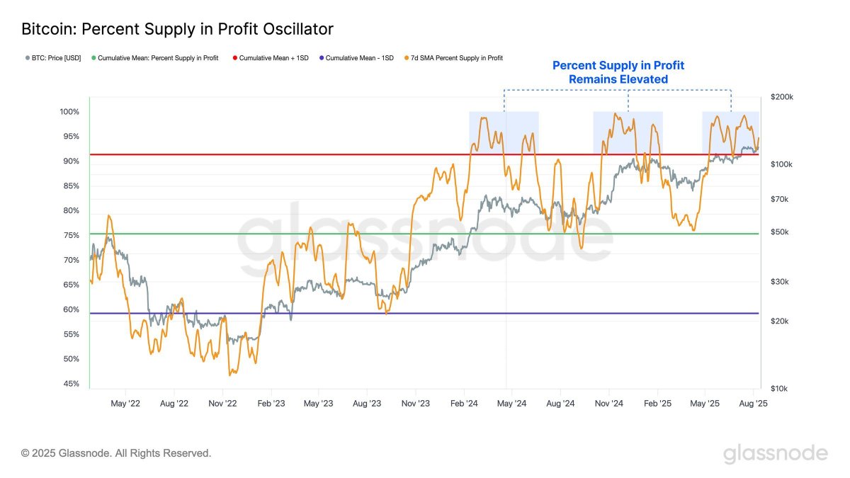 🎯 JUST IN: 99% of Bitcoin supply now in profit — even July’s correction held at 95%, showing strong investor conviction and a resilient market structure. 📈