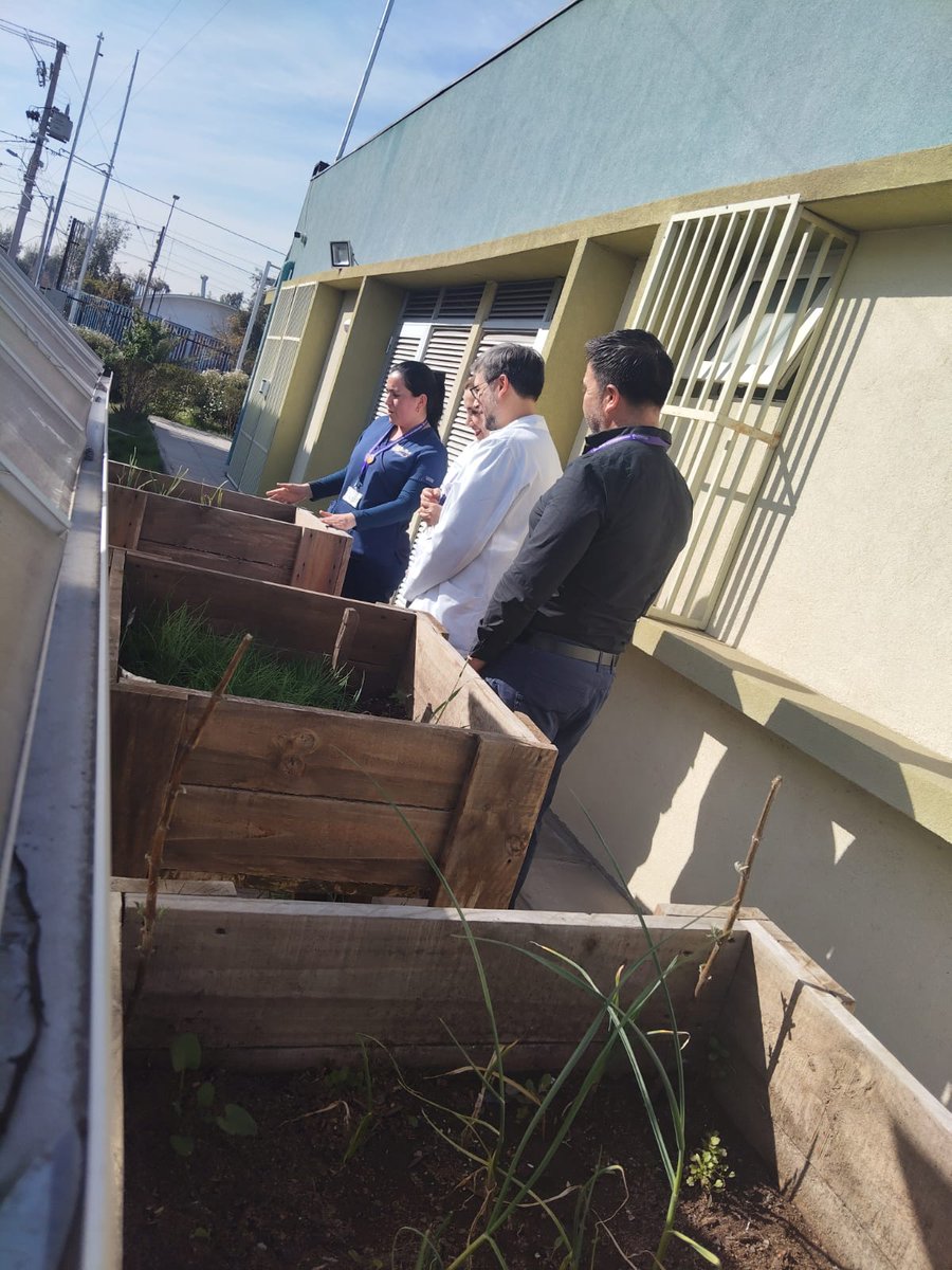 Servicio de Salud Metropolitano Sur tweet media