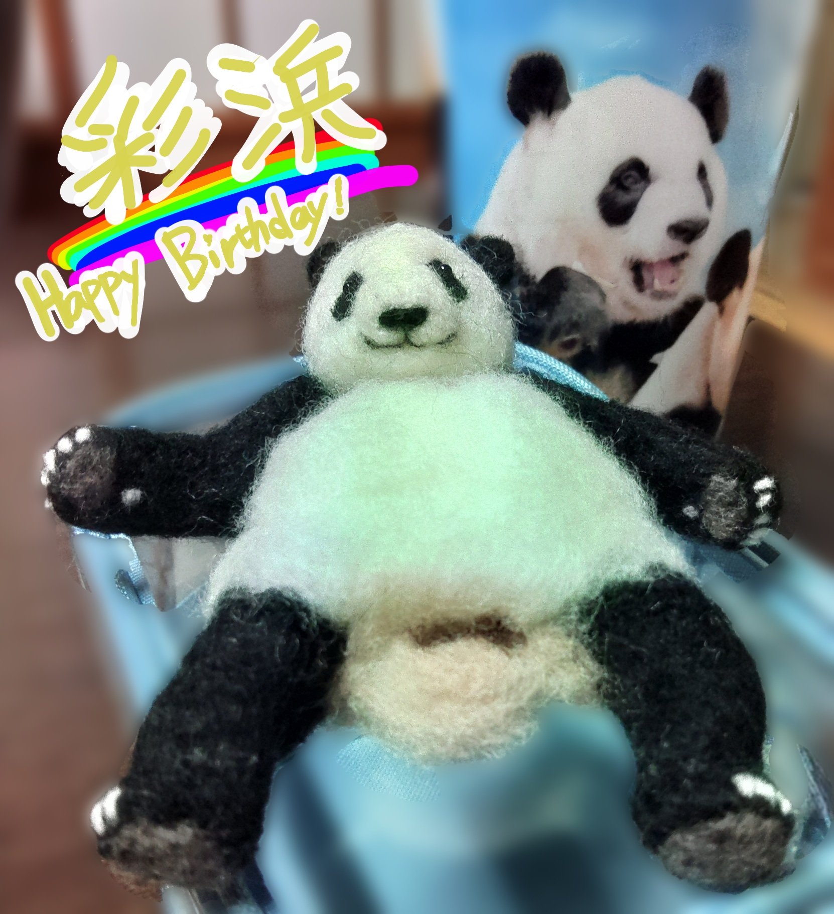 ほしこ (@hoshiko_panda) / X