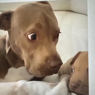 IGWT2025's tweet photo. #NewProfilePic https://t.co/3xrytiUEvK
