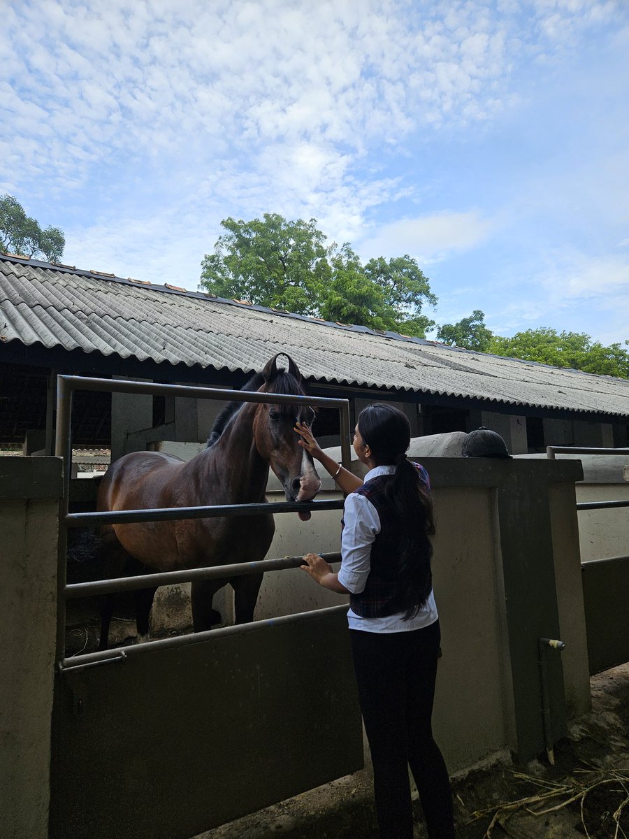 CheeseCake_13_'s tweet photo. Equine Connection✨️🫶🏻🫠🏇🏻 https://t.co/Z0aIcOUWqG