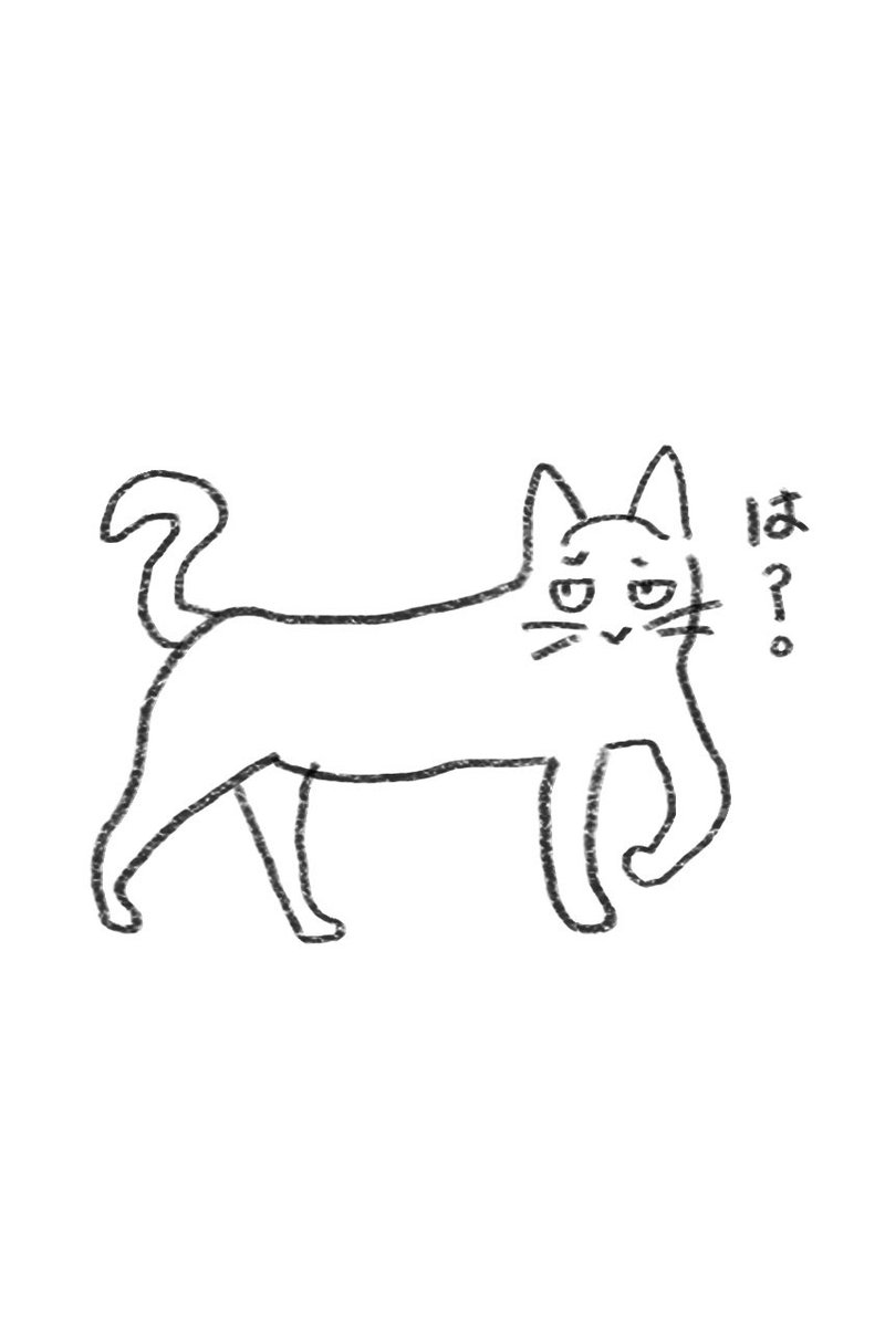 家の庭に野良猫が入ろうとするたびに「シャ！」って威嚇してるんだけど、毎回こういう顔される。そして普通に入ってくる。