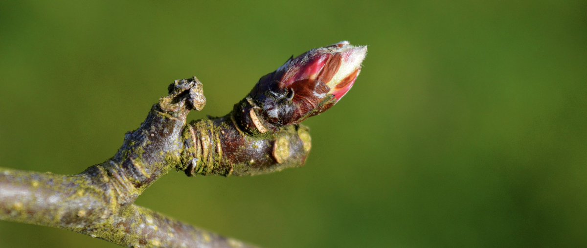 "Egurraren karraska falta zitzaion, goizaldean bakarrik eteten zen bere etxe xumearen ondoko ur-txorrotaren jarioa..."
Gustu baduzue...

xegun.eus/gizon-bat/