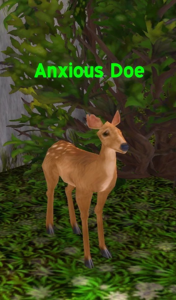 Deerposts (@deerpostss) on Twitter photo 