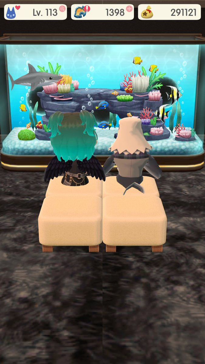 pyonth1220's tweet photo. アポロと水族館デート🐟 https://t.co/uNZWHbroWJ