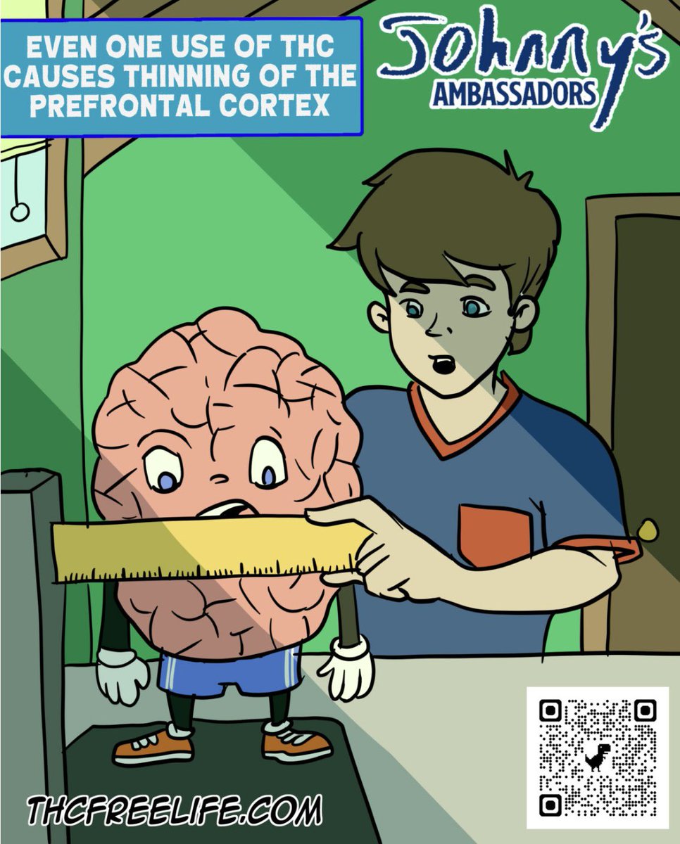 PHGPrevention's tweet image. The prefrontal cortex is the last area of the brain to mature, typically completing its development around the age of 25 
#prefrontalcortex #25 #planning #decisions #impulse