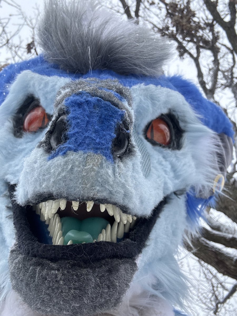 larkrencean's tweet photo. This raptor says good morning! Be you be amazing. Friday is right around the corner!

#furry #fursuit #LarkRencean #furries https://t.co/z5bc66XdXW