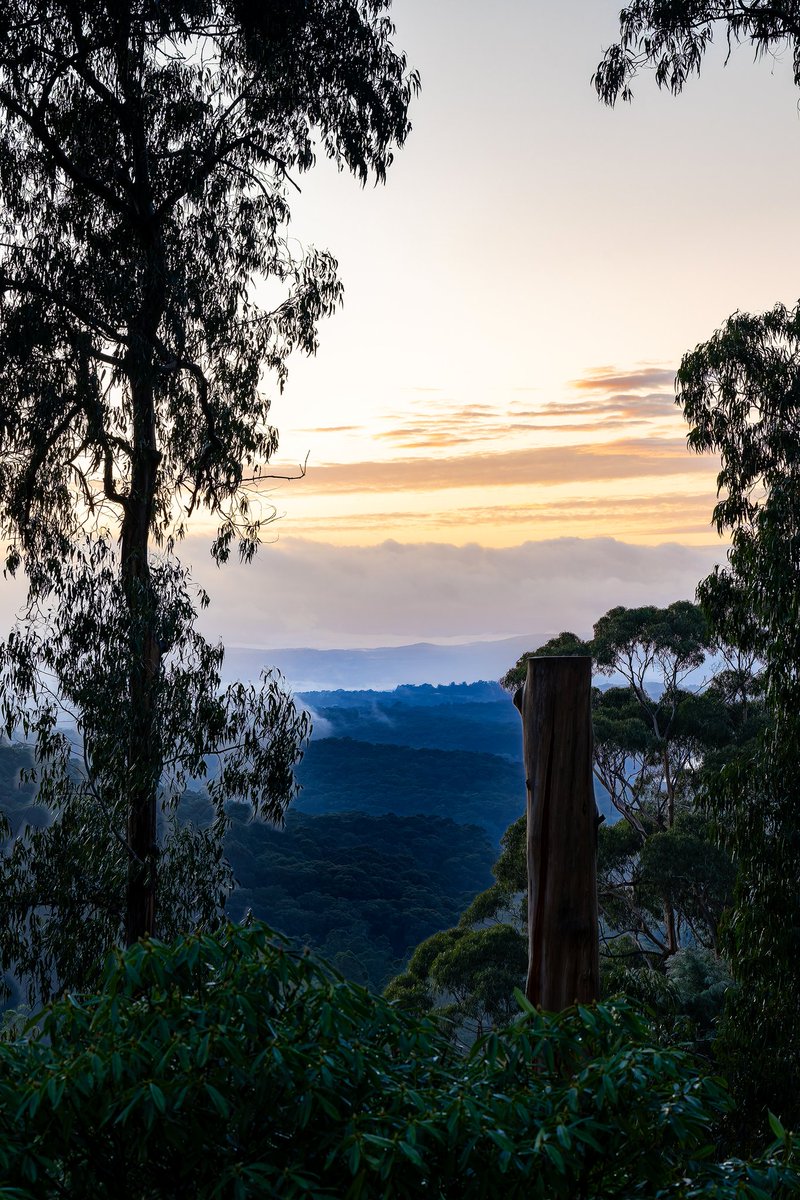 Mount Dandenong,mount Dandenong Melbourne 
is a picturesque destination located in the Dandenong Ranges, just a short drive east of Melbourne, Australia. Known for its lush forests, scenic views, and charming villages, it's a perfect escape from city life.