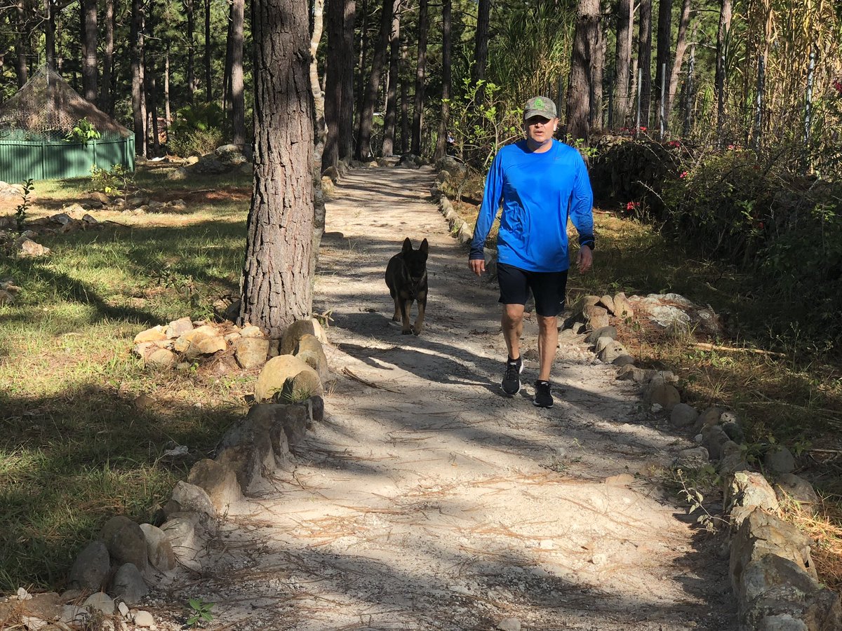 Aunque hoy sientas que las fuerzas se agotan y el cansancio es fuerte recuerda esta promesa: Dios mismo es quien te sostiene. Él da fortaleza al cansado y multiplica el vigor del débil. 

Cuando pones tu confianza en Él, tus fuerzas serán renovadas; te levantarás como el águila