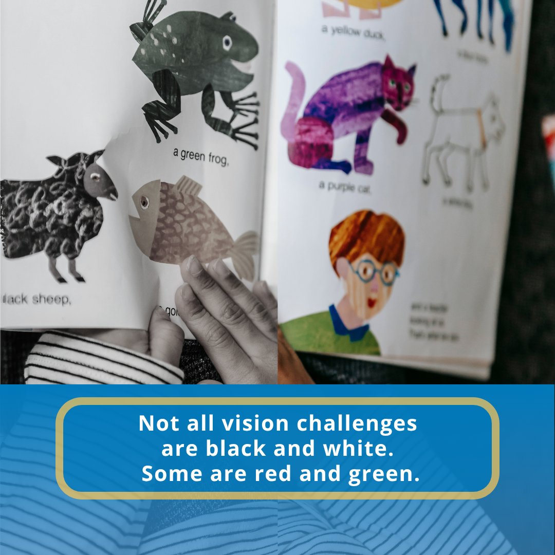 Ontario Association Of Optometrists tweet media