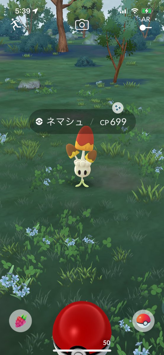 STATpoke's tweet photo. 最近の色違いその1
最近といっても1か月半ほど前ですね😅 https://t.co/VP06noyJSZ
