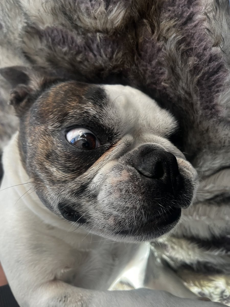 aliens been with us forever, sneakin’ in like cosmic freeloaders